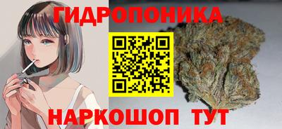 МДПВ Краснознаменск