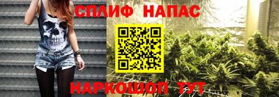 МДПВ Краснознаменск