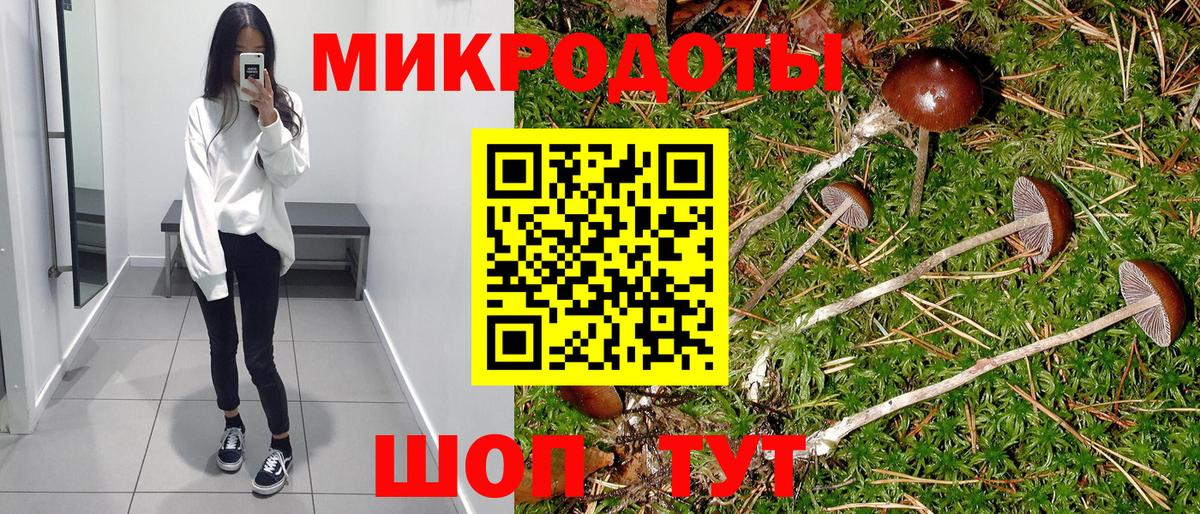Галлюциногенные грибы прущие грибы Юрга